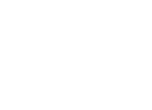 White Logo PNG cropped